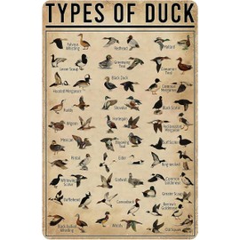 Smilelife Duck Gifts Types of Duck Vintage Tin Sign for Home Office Farmhouse Man Cave Classroom Wall Art Decor 8x12 Inch (3269)