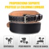 Cinturon para Pesas con Forro de Cuero, 6 Pulgadas Cinturón