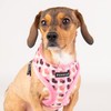 Puppia Dog Harness for small and medium dogs - ARDEN