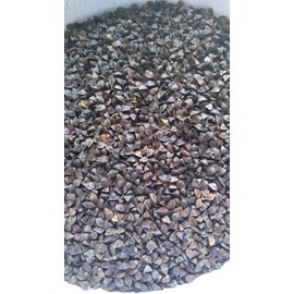 1 Lb. Buckwheat Wildlife Food Plot Seed Quail Ducks Geese Doves Turkey & Wildlife