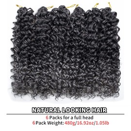 6 Packs Curly Crochet Hair for Black Women 18 Inch GoGo Curl Crochet Hair Ocean Wave Braiding Hair Water Wave Crochet Hair Synthetic Beach Curl Crochet Hair Extensions (18 inch(Pack of 6), T1B/Grey)