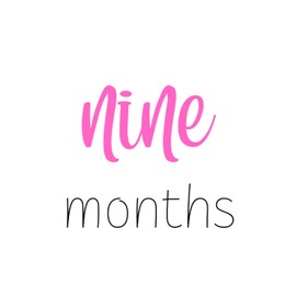 9 months pink girl newborn journal/notebook baby milestones