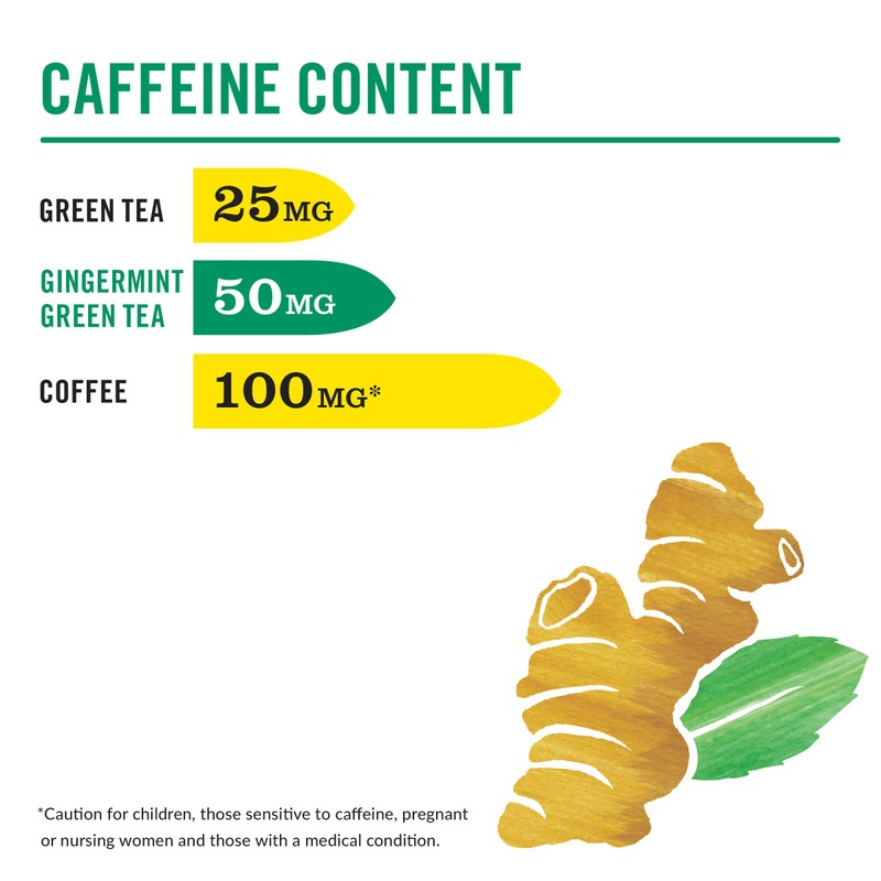 The Republic of Tea — HiCAF Gingermint Green Tea, 50