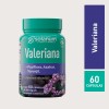 Solanum Valeriana + Pasiflora Toronjil 60cap 500mg Sfn Sabor Sin