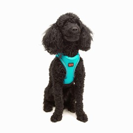 Tailpetz XSmall Dog Harness Light Blue, Adjustable Step in No Pull Harness for Small Dogs, Reflective Puppy Harness for Puppy Training, Boy Girl Dog Vest Harness (Light Blue, XS)