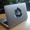 Gray Cat Decal - Wall Hole Sticker with 3D Effect