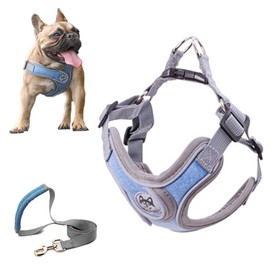 SKXEO Small Dog No Pull Harness and Lead Set - Adjustable, Breathable, Reflective, Lightweight Pet Vest Harness - Escape Proof, Easy Control for Outdoor Walking & Training