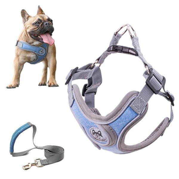 SKXEO Small Dog No Pull Harness and Lead Set -