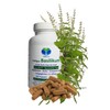 26700-120 Tulsi Basic, 120 Capsules, Holy Tulsi Basic, Ayurveda "Indian