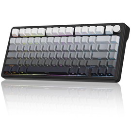 CHICHEN M75 Wireless Mechanical Gaming Keyboard, 75% Layout, Hot-Swappable, RGB Backlit, PBT Keycaps,tri-Mode Connection with Bluetooth 5.0, 2.4GHz Wireless, and USB-C, White & Black