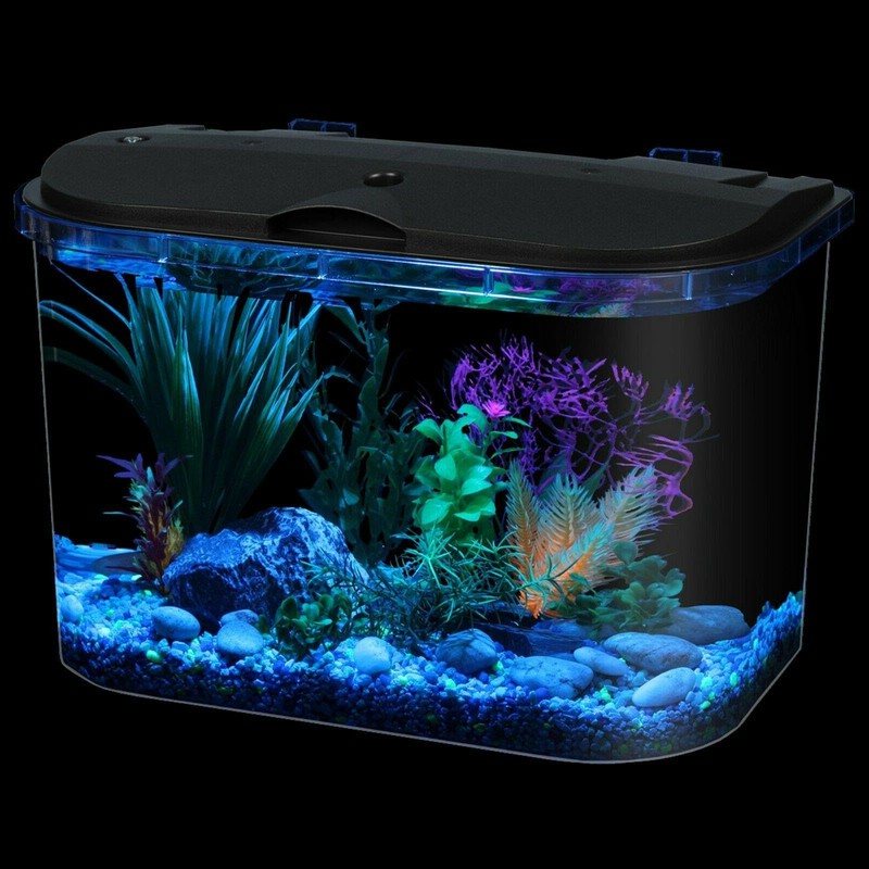 Hikari Usa AHK73314 Salt water Ich-X for Aquarium, 4-Ounce