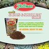 Hoffman Hoffman 10404 Organic Cactus and Succulent Soil Mix, 4
