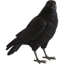 Magnetic Pet Bank 57801 CARRION CROW PET BANK CARRION CROW