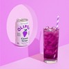 OLIPOP Prebiotic Soda Pop, Classic Grape, A New Kind of