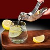 2Pcs Silver Bird Shape Lemon Juicer Stainless Steel Manual Lemon