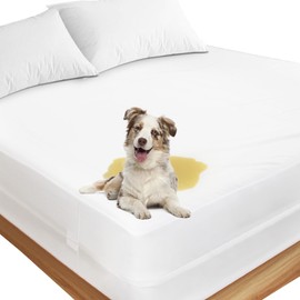 Ptsuker Dorm Twin XL Mattress Protector Zippered, Box Spring Encasement Fits 7/8/9/10 Depth Twin XL Cover 6-Side, Breathable Comfortable and Skin-Safe 39"x80"