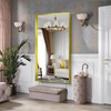 CIRCUMI Gold Bathroom Mirror, 30"x60" Rectangular Mirror with Deep Metal