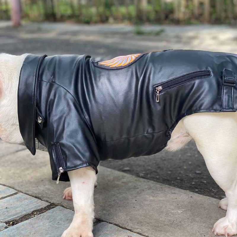 Lovelonglong Cool Dog Leather Jacket, Warm Coats Dogs Windproof Cold