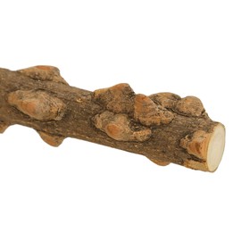 Adjustable Bird Perch Stand, Premium Materials, Sturdy and, Safe and Non Toxic, Detachable Design, Suitable for Parakeets Canaries Cockatiels Conure Lovebirds