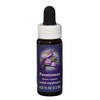 FES Quintessentials Penstemon 7.5ml