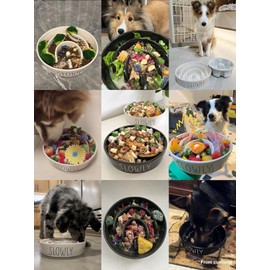 Ceramic Slow Feeder Bowl Elevated - 1.5 Cup with Wood Stand for Small & Medium Breed, Anti-Gulping, Black