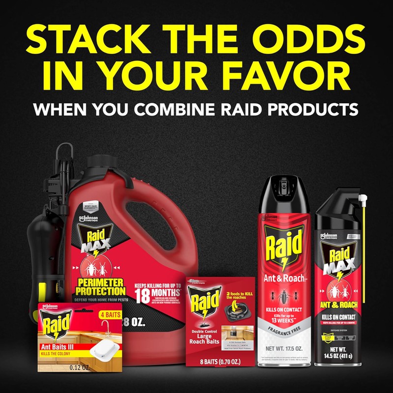 Raid Ant & Roach Killer 26, Fragrance Free Bug Killer