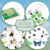 Artojoy Insect in Resin Specimen, 12 PCS Scientific Educational Bugs
