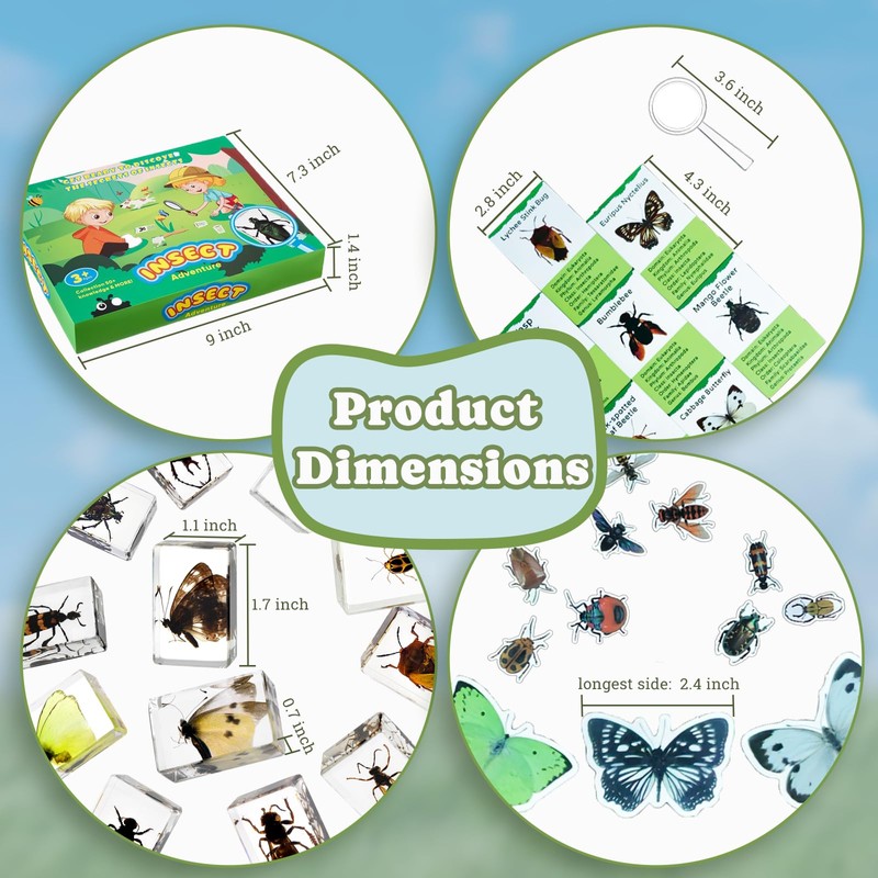 Artojoy Insect in Resin Specimen, 12 PCS Scientific Educational Bugs