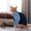 T'CHAQUE Cat Pajamas - Soft Cat Clothes& Shirts & Pajamas