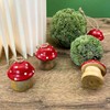 Set of 6 Wooden Mushroom Pendants, Approx. 5 x 4