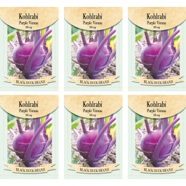 Set of 6 Vegetable Seed Packs - Create a Deluxe Garden - All Seeds are Heirloom - 100% Non-GMO (Kohlrabi Seeds Purple Vienna)