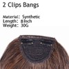 Elailite Clip-In Fringe Hairpiece, 30 g, 20 cm Fringe Bangs