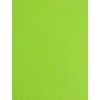 50 Sheets A4 Fluorescent Green 80GSM Paper - Printer Copier