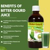 Basic Ayurveda Bitter Gourd Juice | Pure Karela Juice |