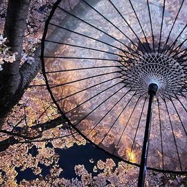 山本竹細工屋 （YAMAMOTOTAKIZAYIKUYA) Silk Umbrella demitint Dancing props Stage Umbrella handle detachable (Black demitint)