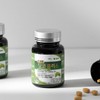 트리플징코플러스 1병 복수구매할인 Triple Ginkgo Plus 1 Bottle Bulk Purchase