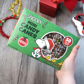 Mini Candy Canes, Cherry Flavored, Peanuts Individually Wrapped Christmas Candies, 50 Count