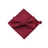 WANYING Men's Bow Tie & 6 cm Slim Tie &
