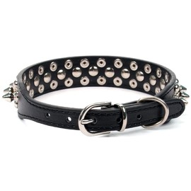 Dog Collar, Studs, Wild Spikes, 5 Holes, Adjustable, Small Dogs, Medium Dogs, Large Dogs, Cats, Cute, Stylish (Black, M)