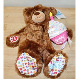 Build-A-Bear Happy Birthday Brown Birthday Bear VI UNSTUFFED and Pink CUPCAKE