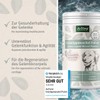 Aniforte Green-Lipped Mussel Powder – 500g – Various Sizes –