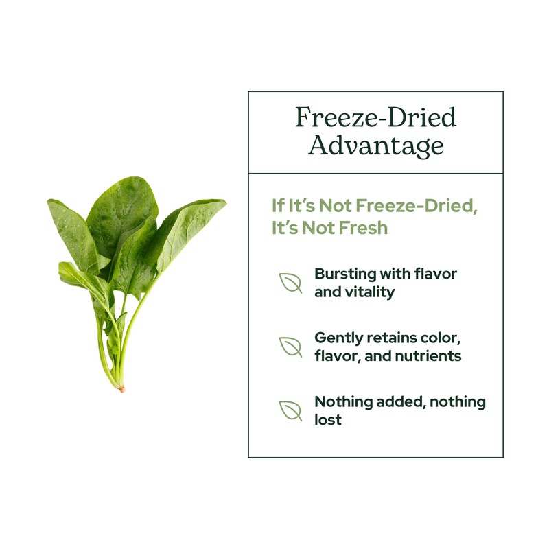 Eclectic Herb - Spinach Powder Supplement | Nutritional Support, Vitamins