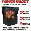 Power Boost Canine Performance Formula – Low Fat, High-Carb Rehydration