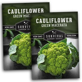 Green Macerata Cauliflower Seed for Planting - 2 Packets with Instructions to Plant and Grow Italian Verde di Macerata in Your Home Vegetable Garden - Non-GMO Heirloom Variety- Survival Garden Seeds