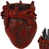 JANKOW Small Human Heart Shape Pencil Holder Real Human Heart