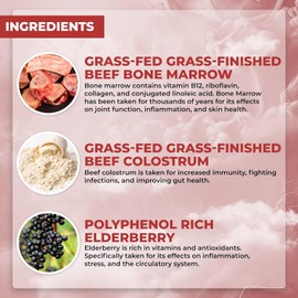Santa Cruz Paleo Food of The Gods Grass Fed Beef Organ Bone Marrow Supplement with Beef Liver, Beef Colostrum, Maca Root & Elderberry, Gluten Free, Keto, Sugar-Free, Paleo, 30 Servings, 150 Caps