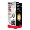 Satco S9567 Medium Bulb in Light Finish, 3.50 inches, 250Lm/Meduim
