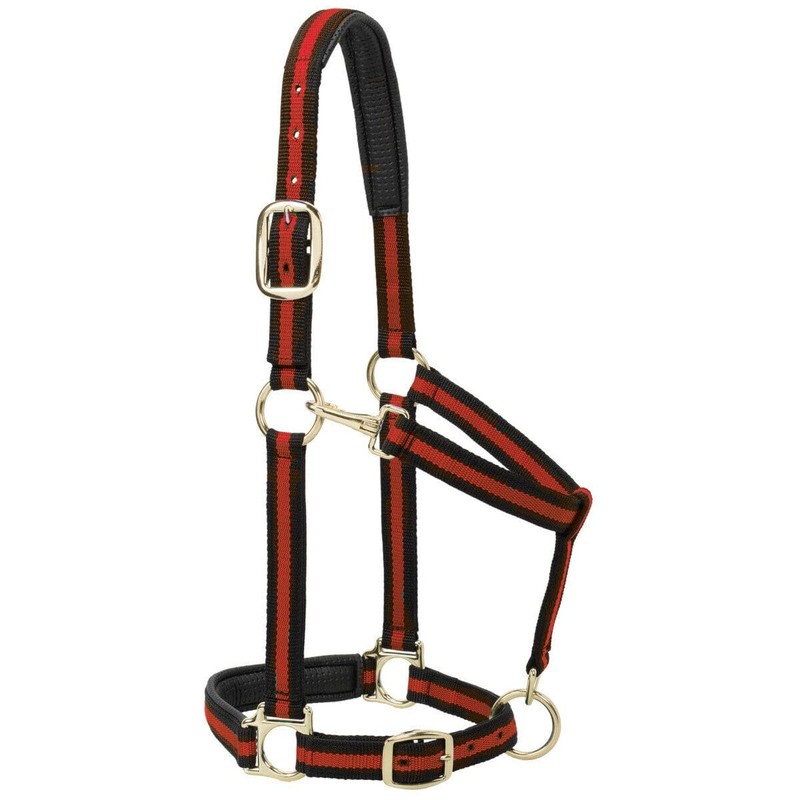 Weaver Leather Padded Adjustable Nylon Horse Halter, Blue, 1" Small