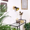 Tina Ceiling Light in Various Designs
