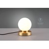 lightling Pekka Table Lamp with Base Matte Brass Metal Glass